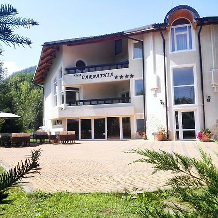 Vila Carpathia Μπραν Εξωτερικό φωτογραφία