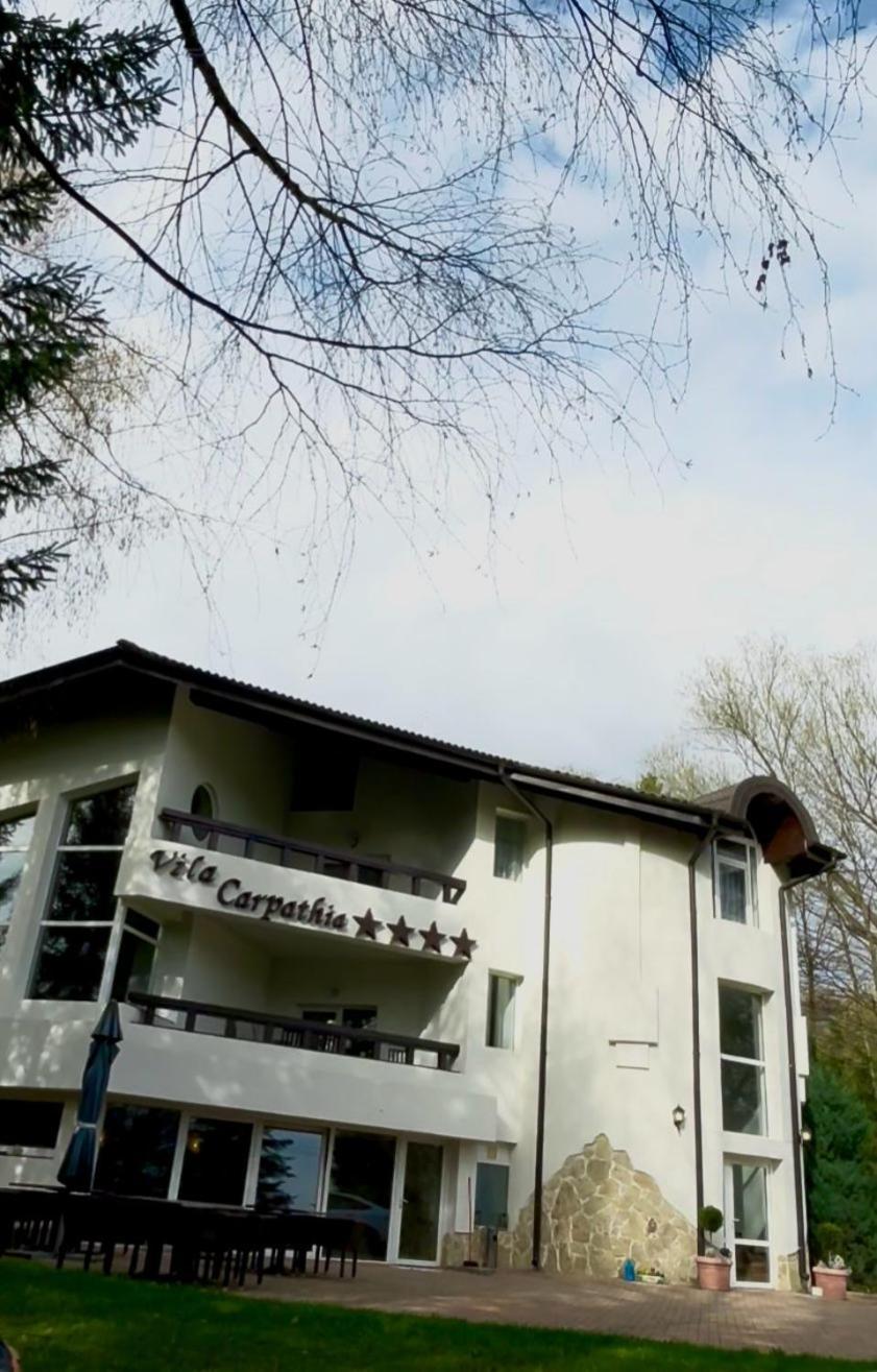 Vila Carpathia Μπραν Εξωτερικό φωτογραφία