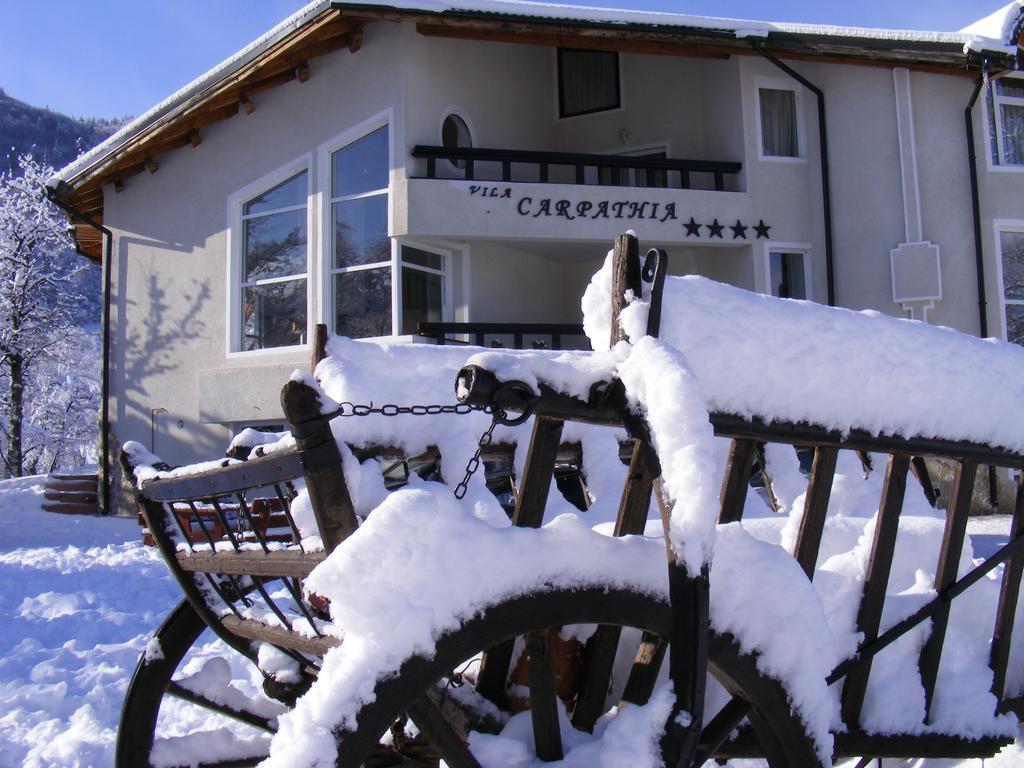 Vila Carpathia Μπραν Εξωτερικό φωτογραφία