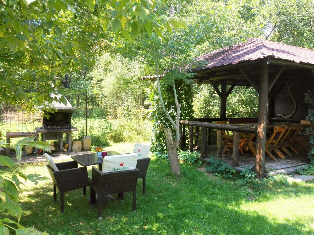 Vila Carpathia Μπραν Εξωτερικό φωτογραφία