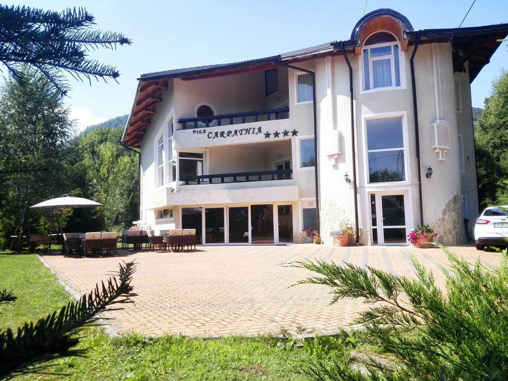 Vila Carpathia Μπραν Εξωτερικό φωτογραφία